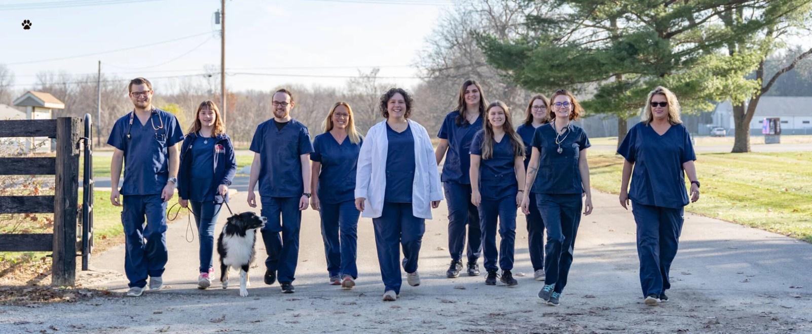 Comprehensive Pet Care at Fox Run Animal Hospital